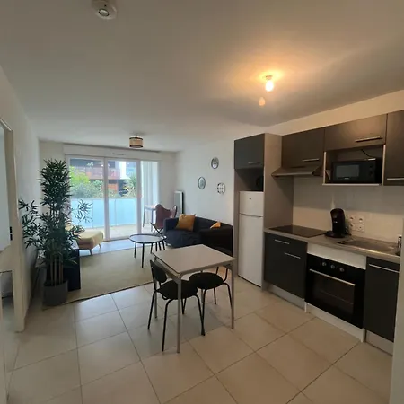 Apartment Joli T2 Terrasse Parking Prive Confort
