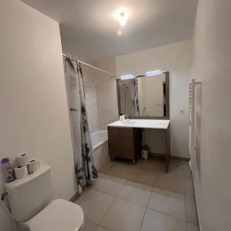 Joli T2 Terrasse Parking Prive Confort Apartment
